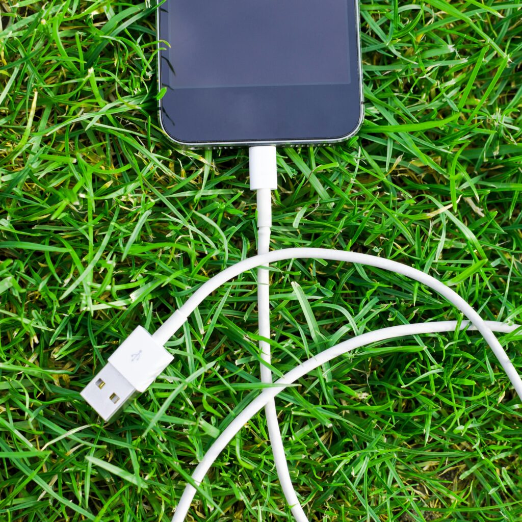 Digital Transformation for Sustainability – Technology in the Service of the Environment